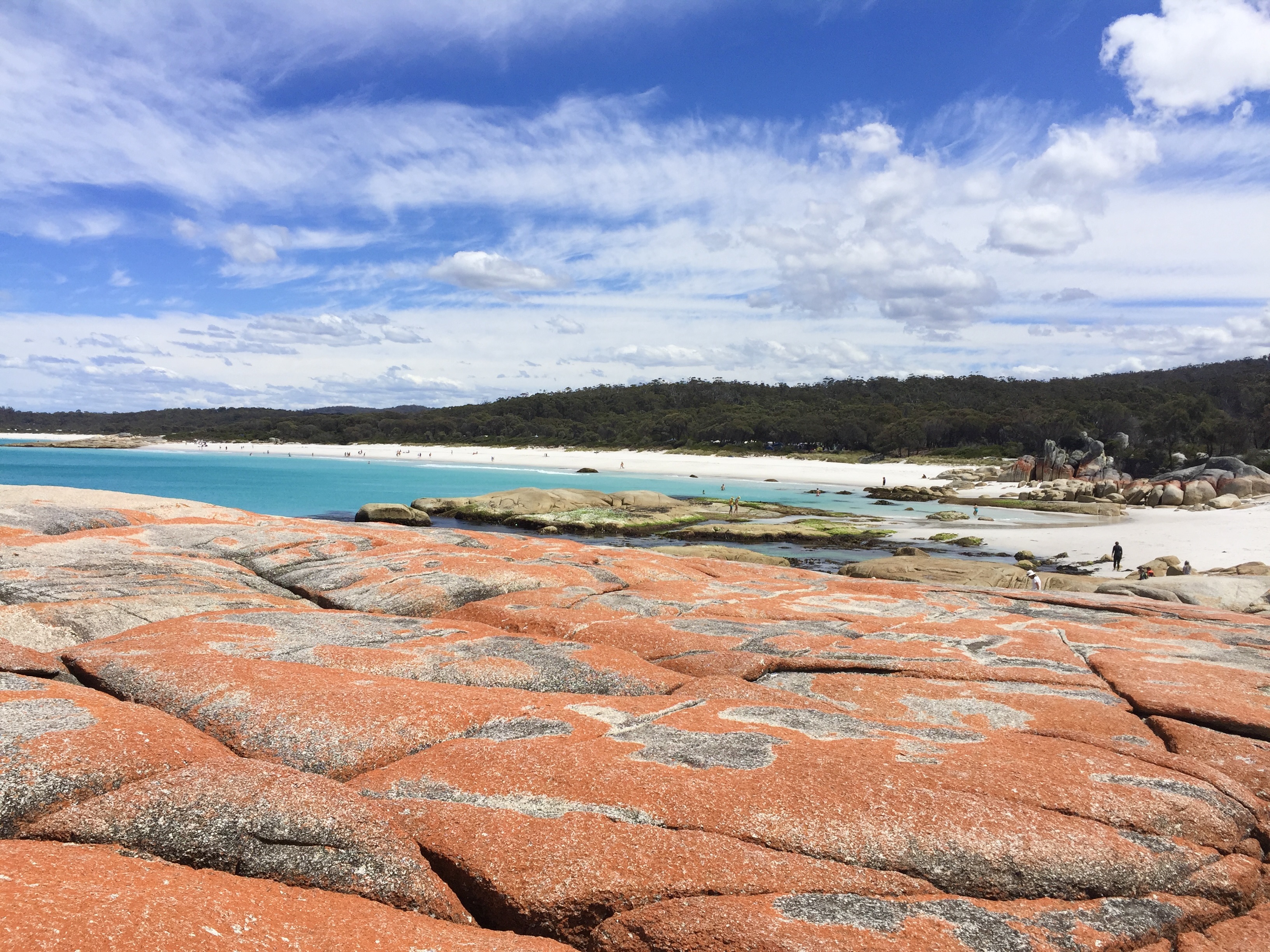 Gold Coast beach strip